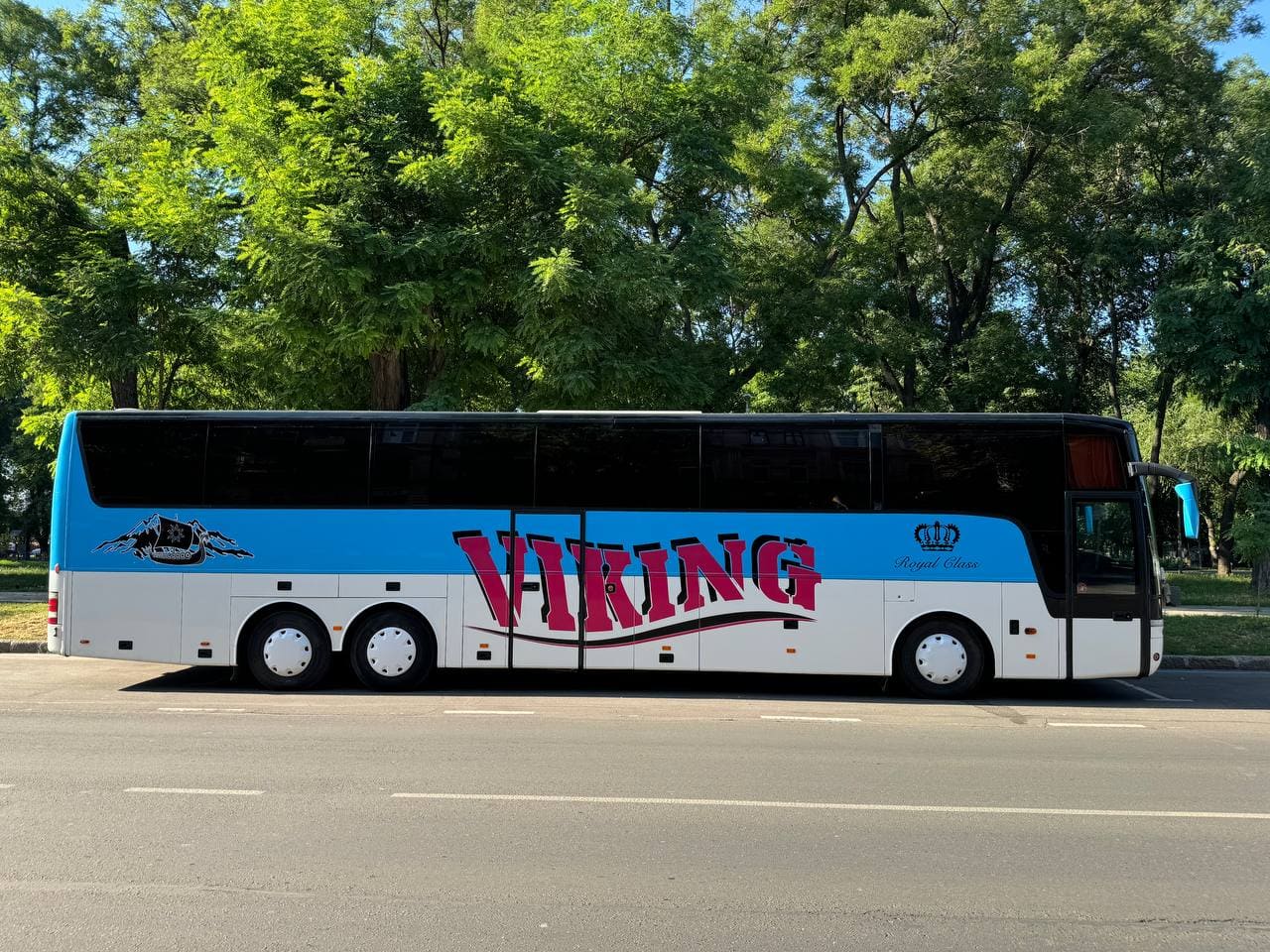 bus
